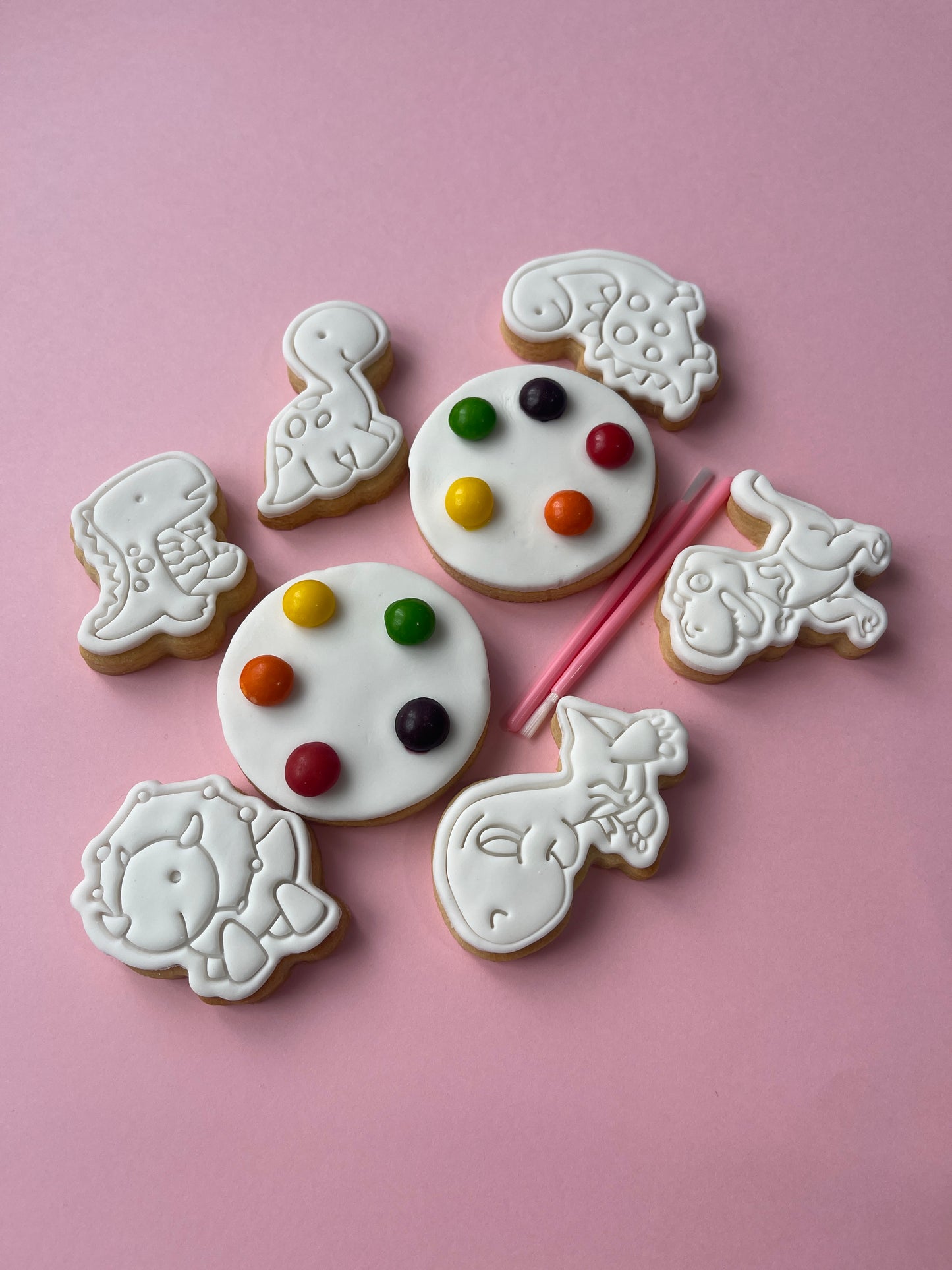 Paint Your Own Cookies