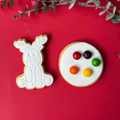 Christmas Paint Your Own Cookies