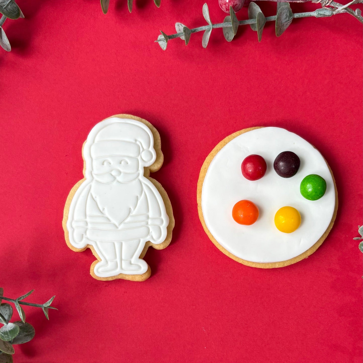 Christmas Paint Your Own Cookies